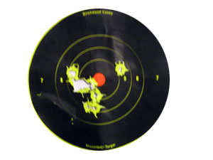 Sig Pro Target