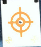 Sig Target AFter 9 rounds